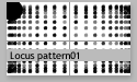 Locus pattern 01