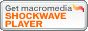 Get macromedia SHOCKWAVE PLAYER