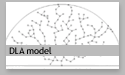 DLA model